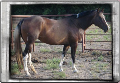 She's Lopin For Roses