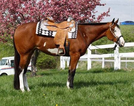 Touched By A Proposal