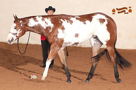 Good Time To Propose