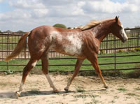 Bridget----Just-Propose-010