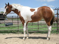 SensationalProposal3