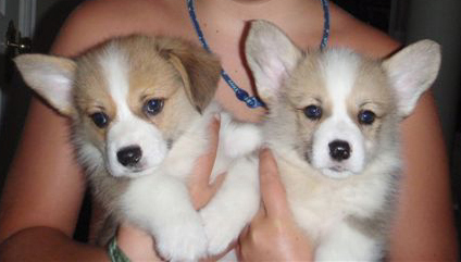 Izzy Red Boy and Girl