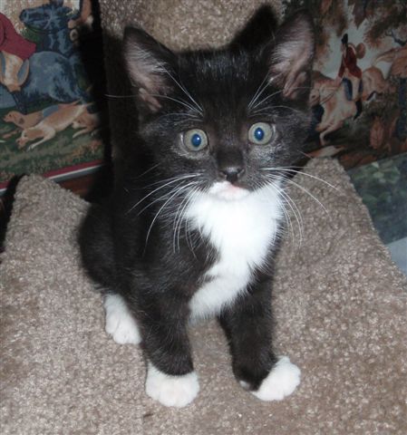 Black and White Female