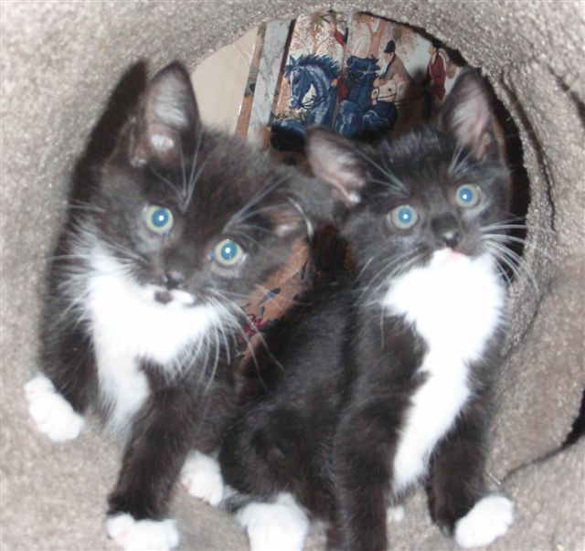 Black and White Male and Female